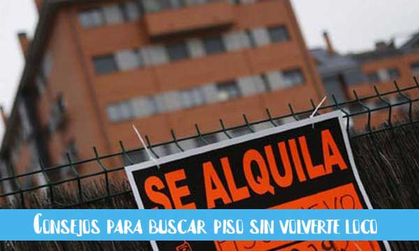 como buscar piso sin volverte loco