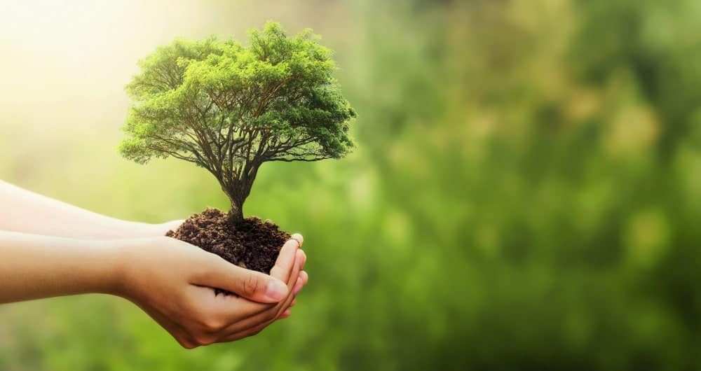 medio ambiente iso 14001