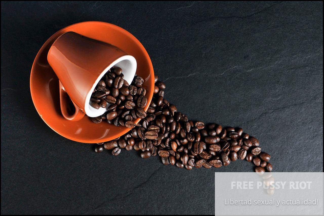 coffee, coffee beans, cup