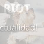 Limpieza de dientes de perro