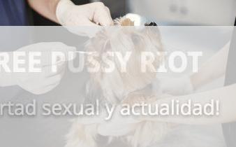 Limpieza de dientes de perro