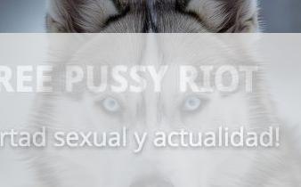 Husky Siberiano