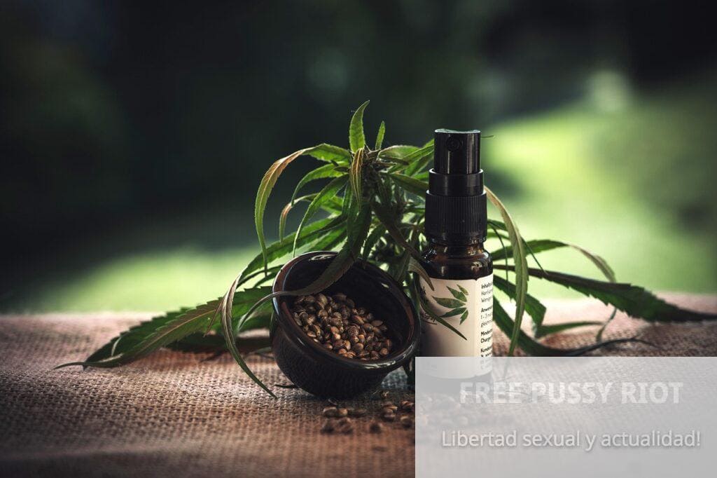 Flores CBD vs THC: ¿En qué se diferencian y cuál elegir