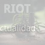 Flores CBD vs THC: ¿En qué se diferencian y cuál elegir