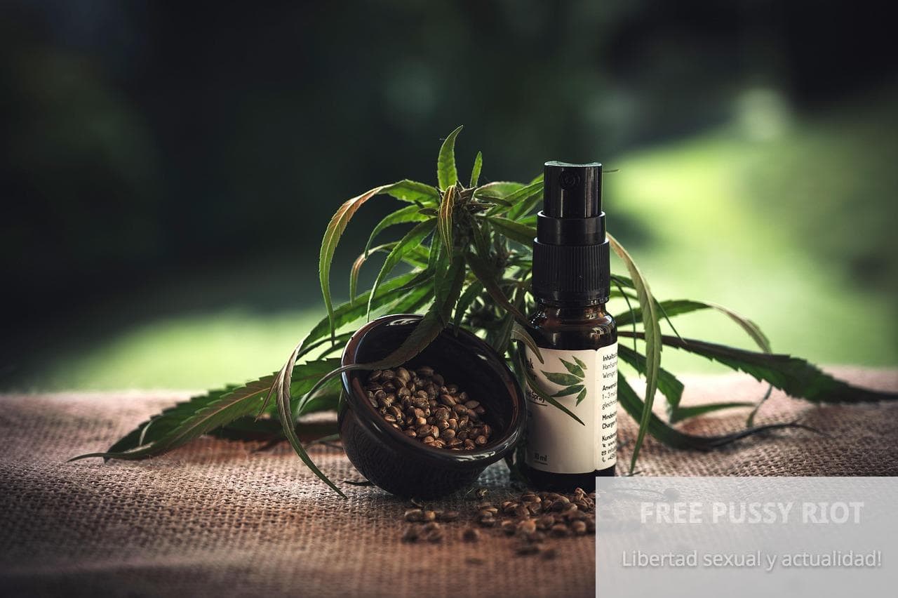 Flores CBD vs THC: ¿En qué se diferencian y cuál elegir