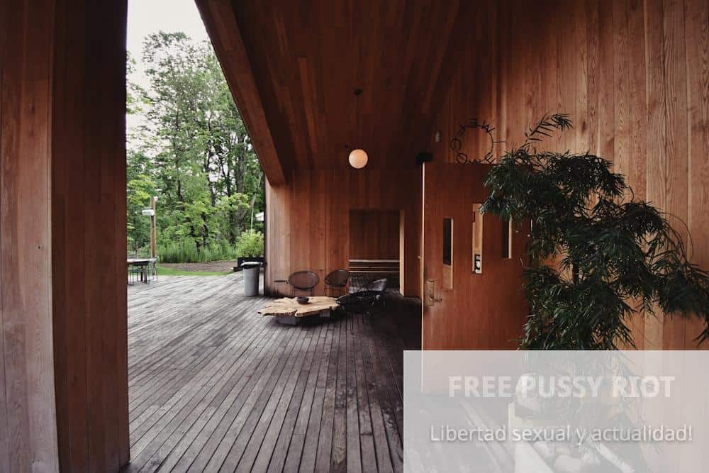 brown wooden bench near green leaf plant