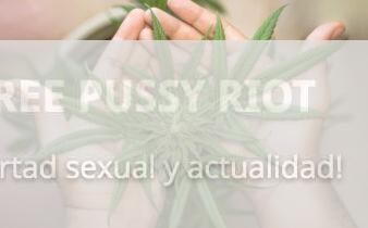 Fondo de mano sosteniendo planta de marihuana, símbolo de libertad y lucha en Pussy Riot.